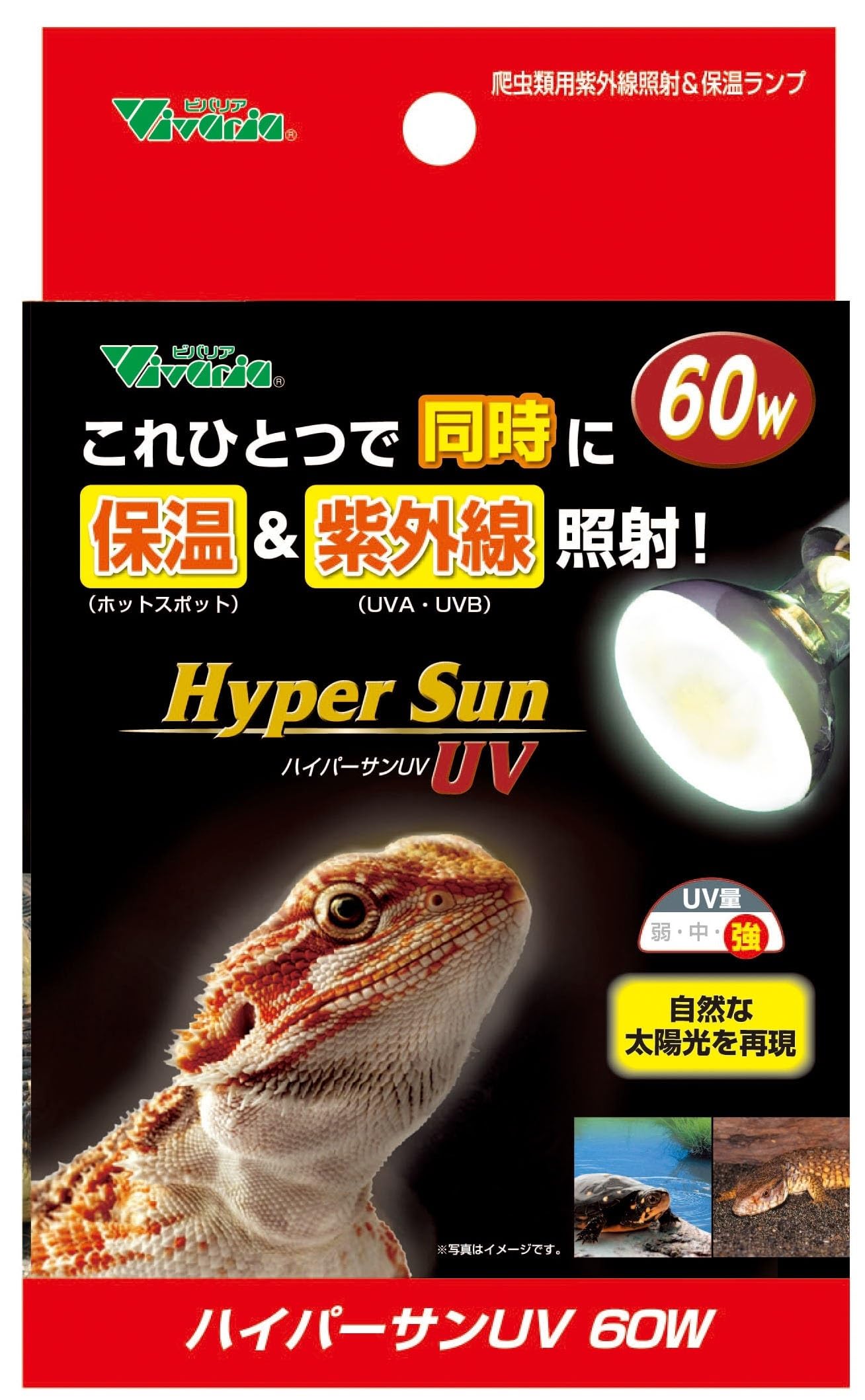 ビバリア ハイパーサンUV 60w✕2個 Amazon.co.jp: ハイパーサンUV 60W バスキングスポット 保温
