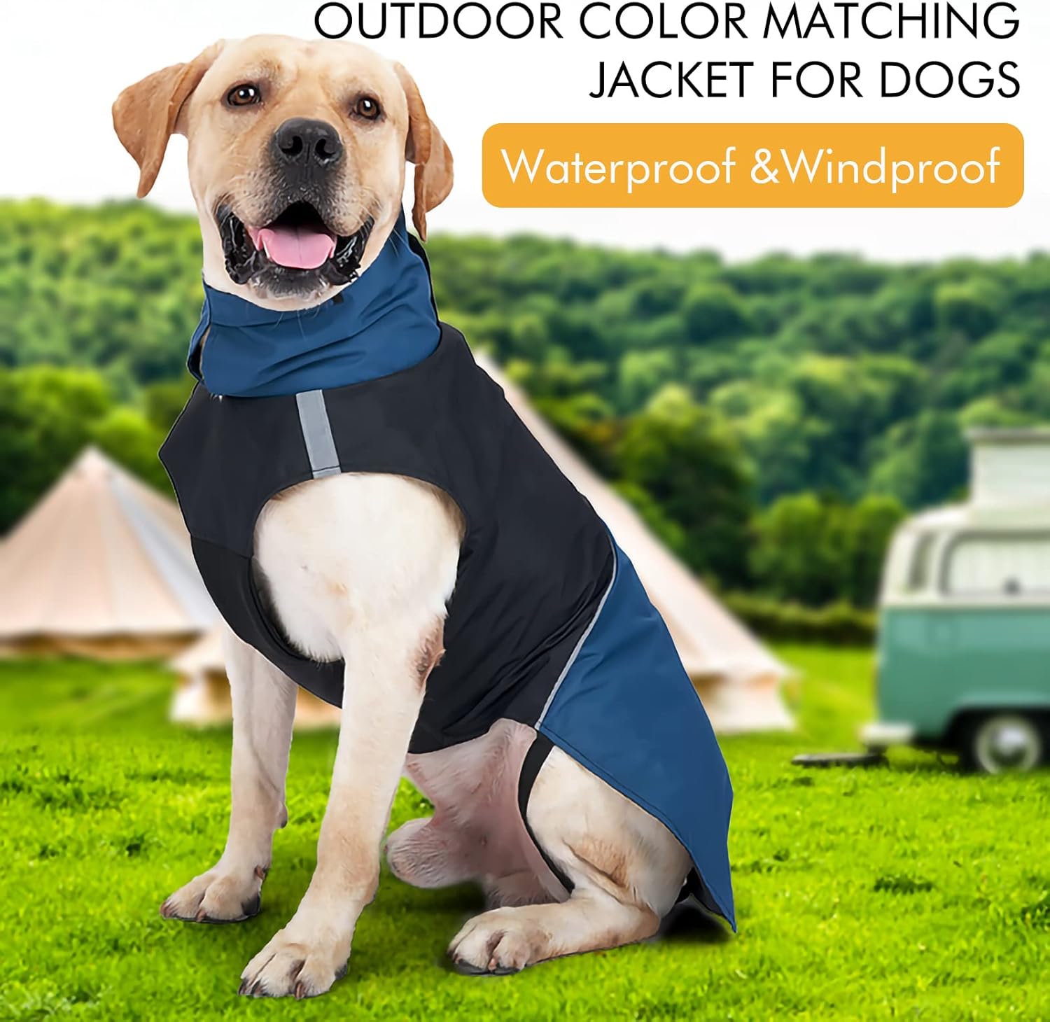 Windproof Dog Winter Jackets - Outdoor Coats for Cold Weather, Waterproof Raincoats with Leash Hole, Black Blue XXS - Image 2