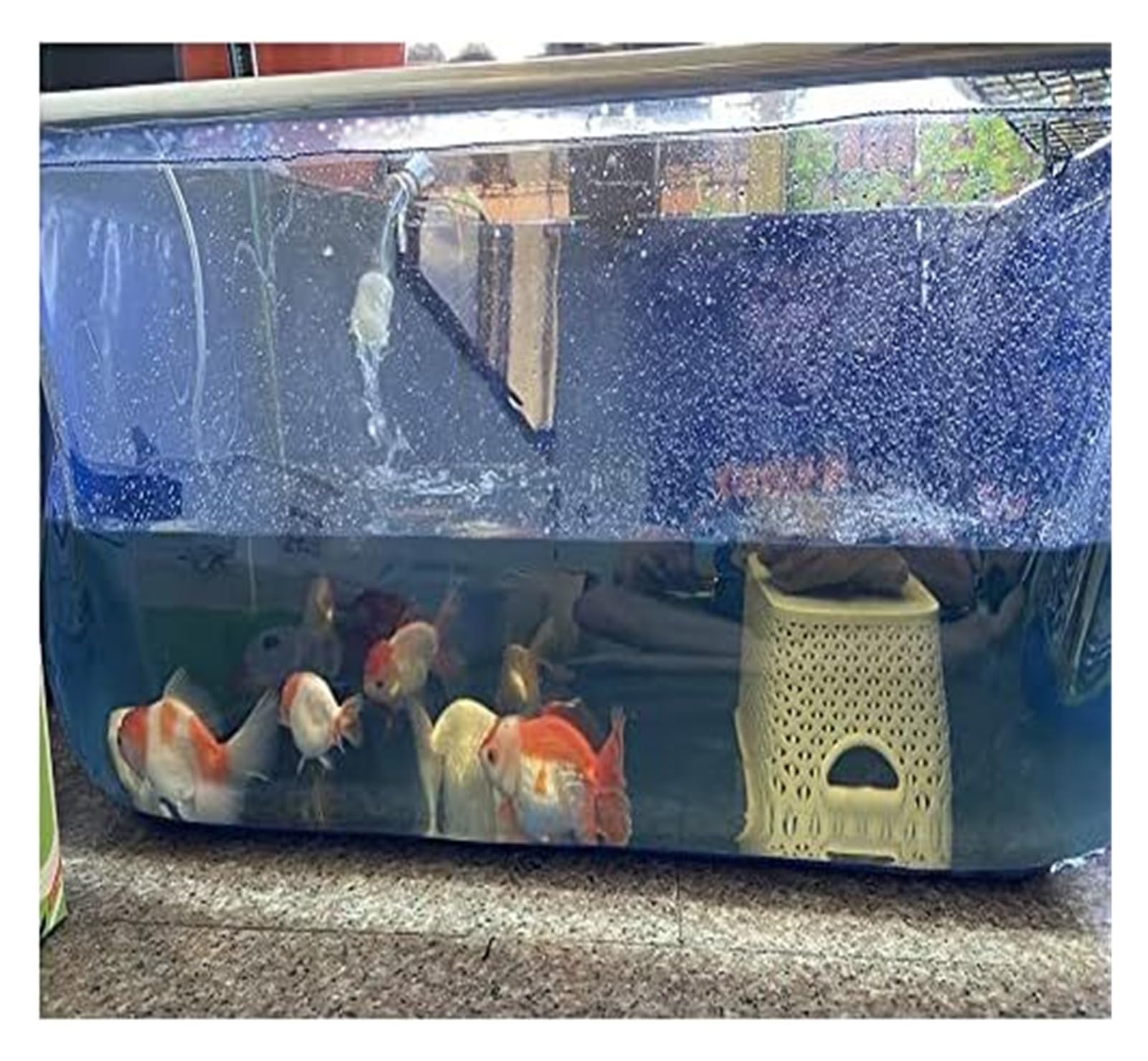 Akwarium PVC do stawu Koi, zbiornik hodowlany koi z panelem wyświetlacza, 140 x 140 x 71 cm, akwarium domowe do reprodukcji koi i czerwonych ryb ogród i d