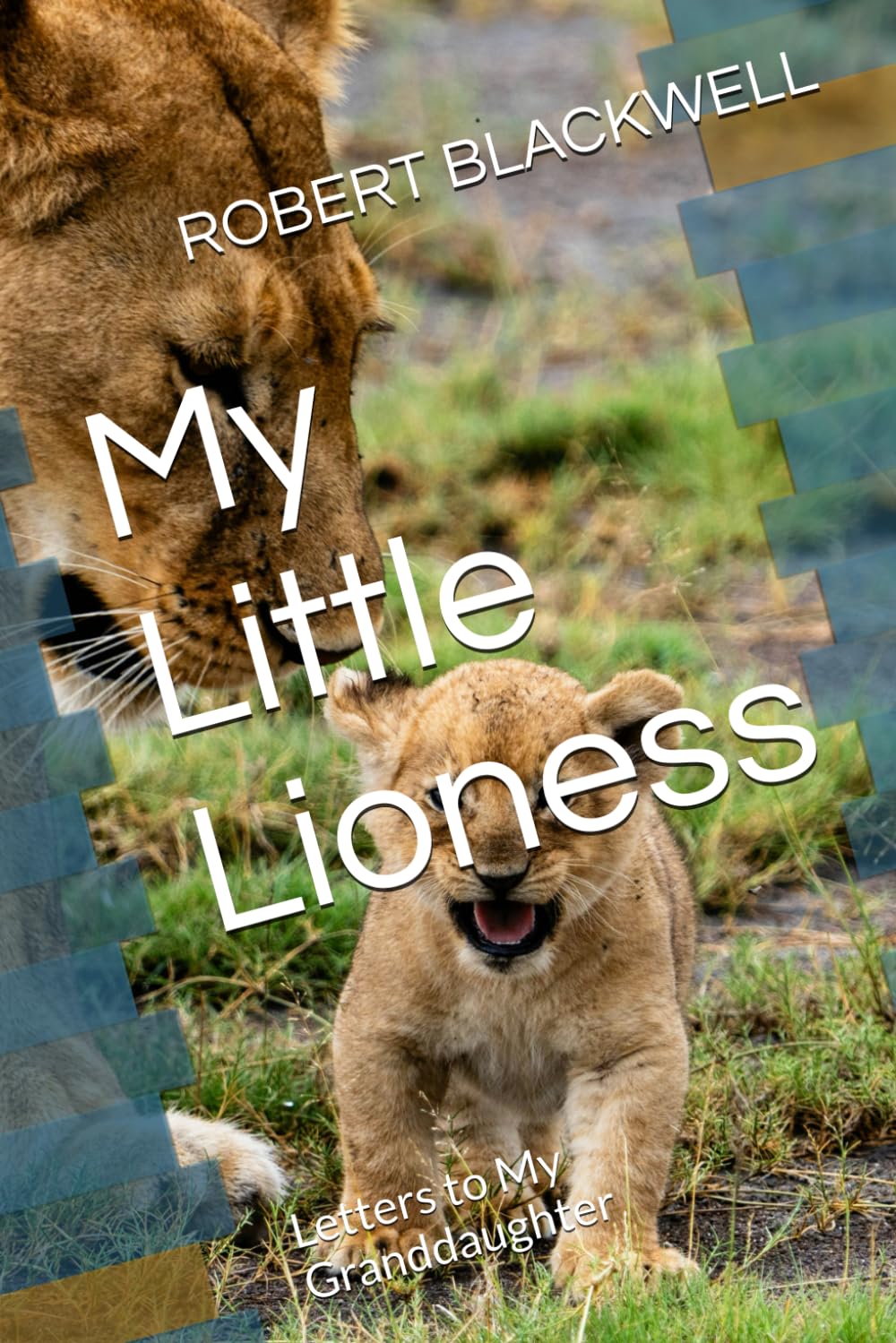 My Little Lioness: Letters to My Granddaughter