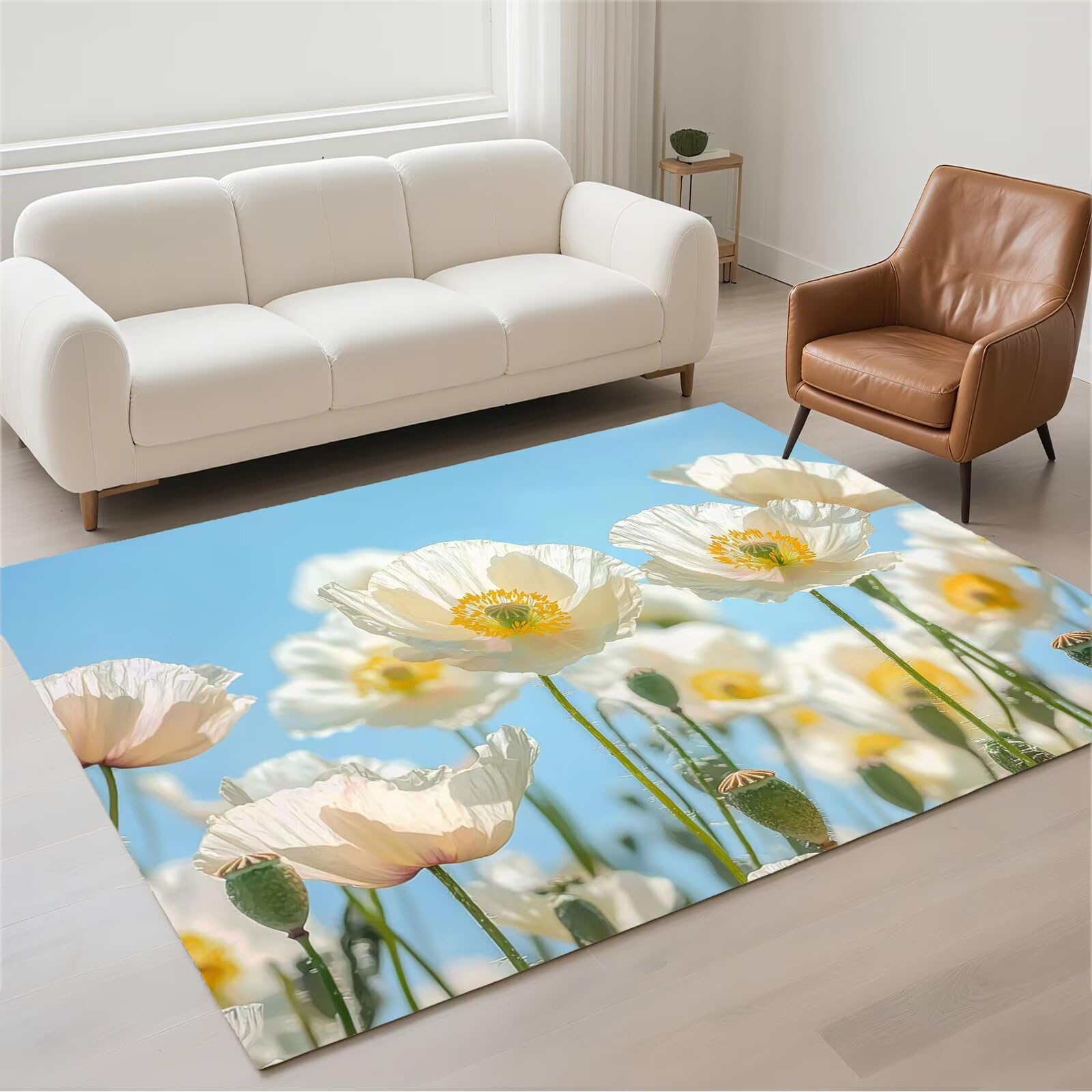 Tapis salon imperméable 60x90cm blanc lavable et moderne