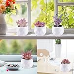 6 Pack Suculents artificiels Petit succulent faux en pots, Assortiment décoratif Faux rose Suculant Poté,Mini Faux Poté Suculente Décor pour Table Décor, Salle de bains, Décor de bureau