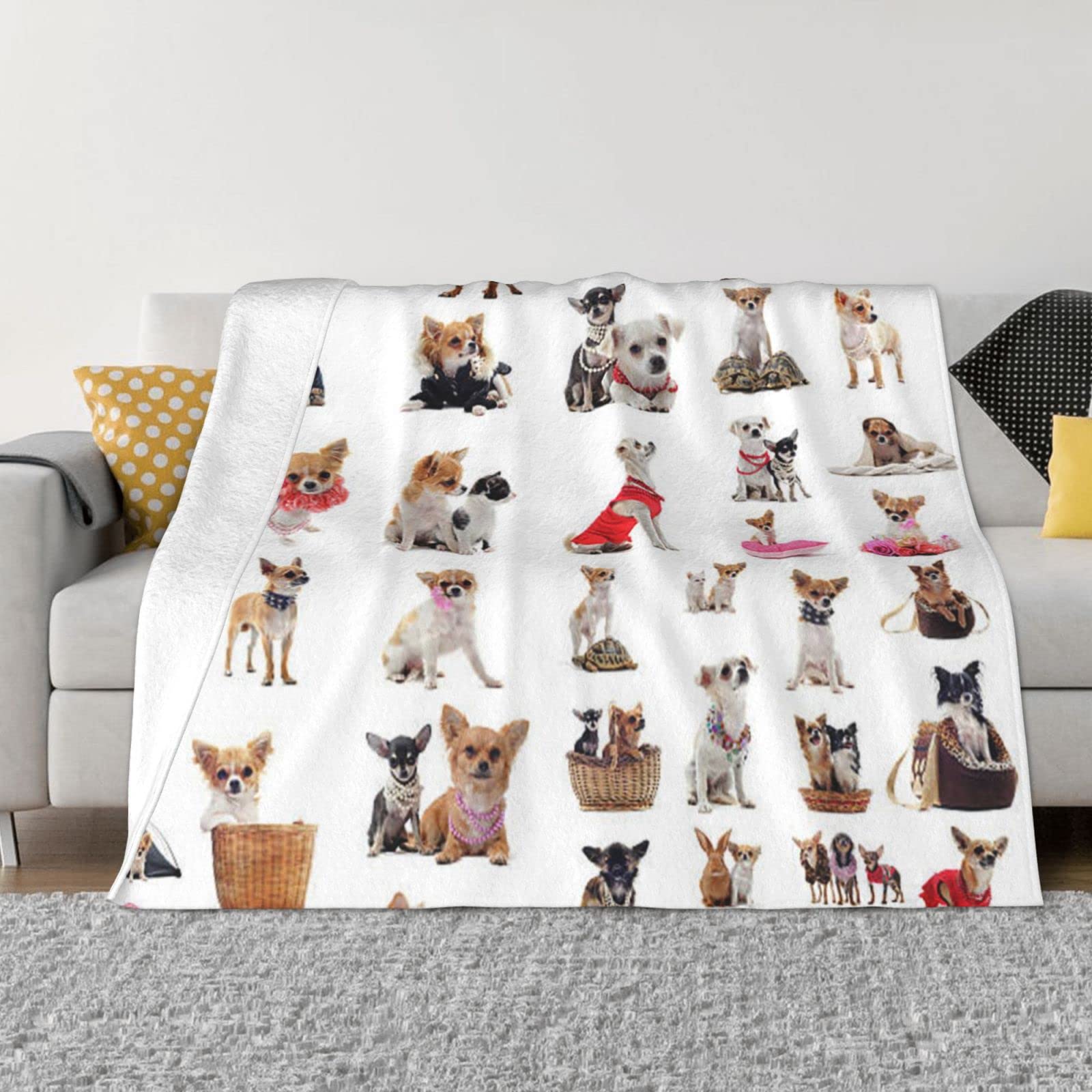 Couverture douce en flanelle motif carlin et chihuahua : idée cadeau idéale pour lit