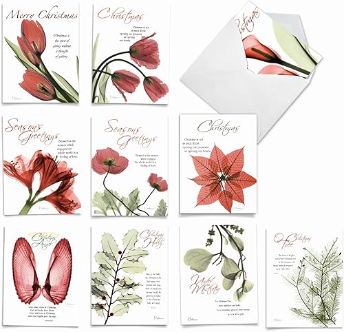 The Best Card Company Mini-XS-G-7 - Tarjeta navideña