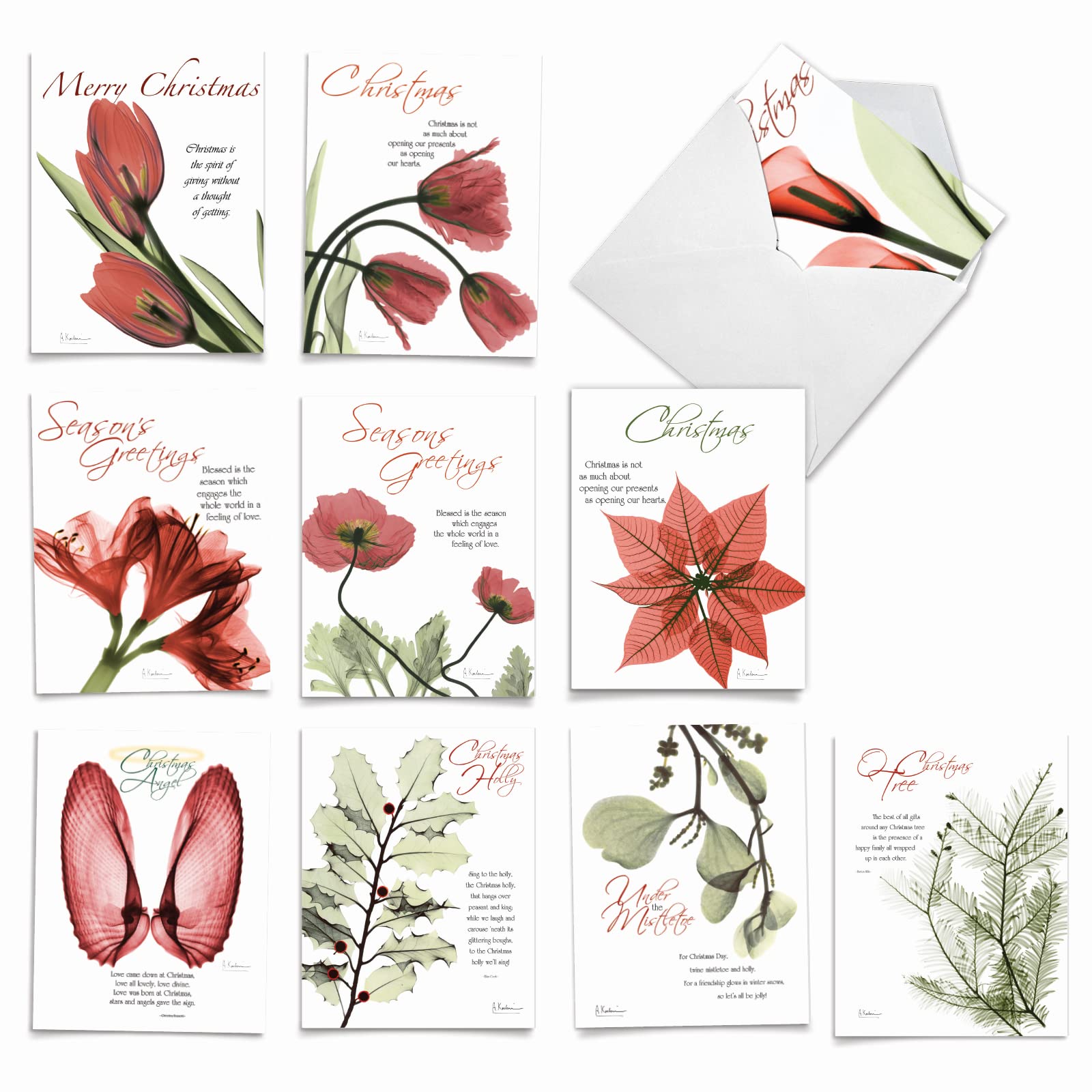 Best Card Co 10 Christmas Mini Boxed Notecards Blooming AM6219XSG-B1x10