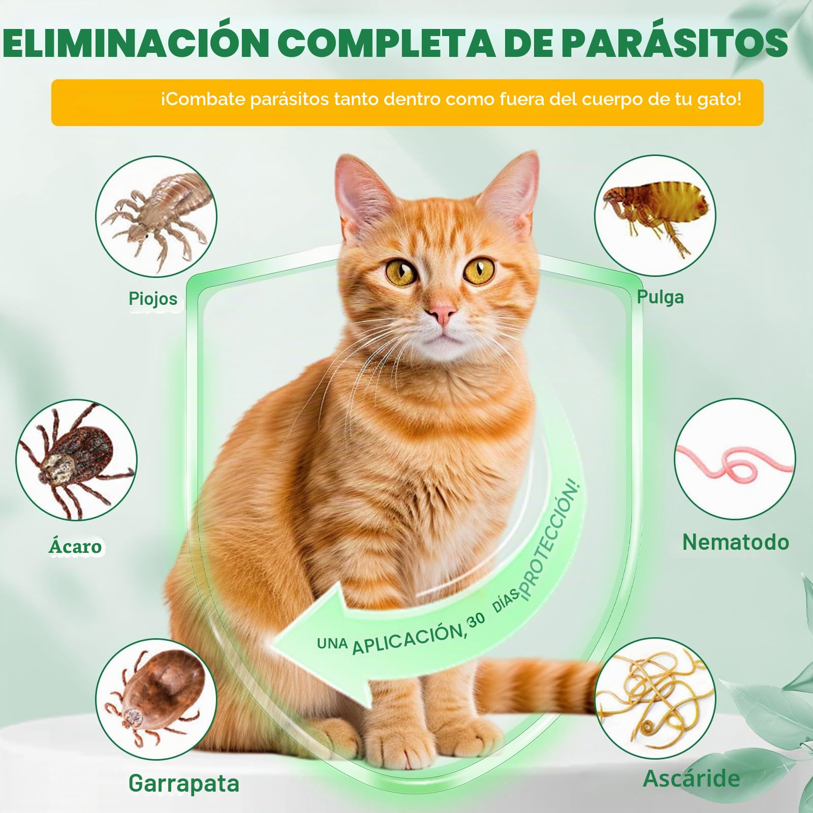 Ver-mi-fu-ge tópico en gotas para gatos 6 unidades, Ver-mif-UG-e Spot on para gatos, prevención de pulgas y garrapatas, fórmula natural fuerte, protección contra las alergias cutáneas, de 6 meses