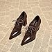 2025 Autumn New Pointed Toe Pumps High Heels Elegant Simple Fashion Women's Shoes Black Bandage Brogue British High Heel Chunky Heel Pumps (Wine, Adult, Women's, 8, Digital,US Shoe System, Medium(Medium))