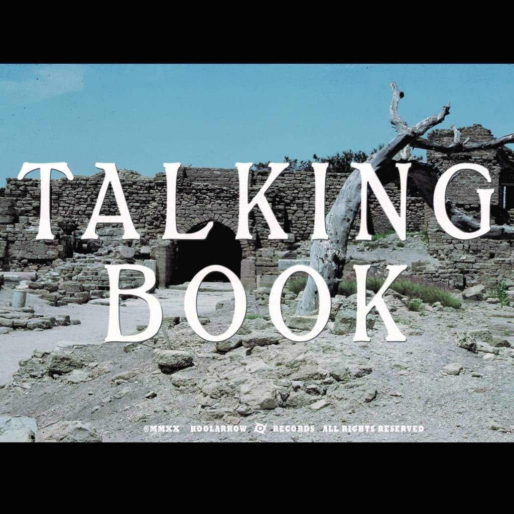Talking Book 2 [VINYL]