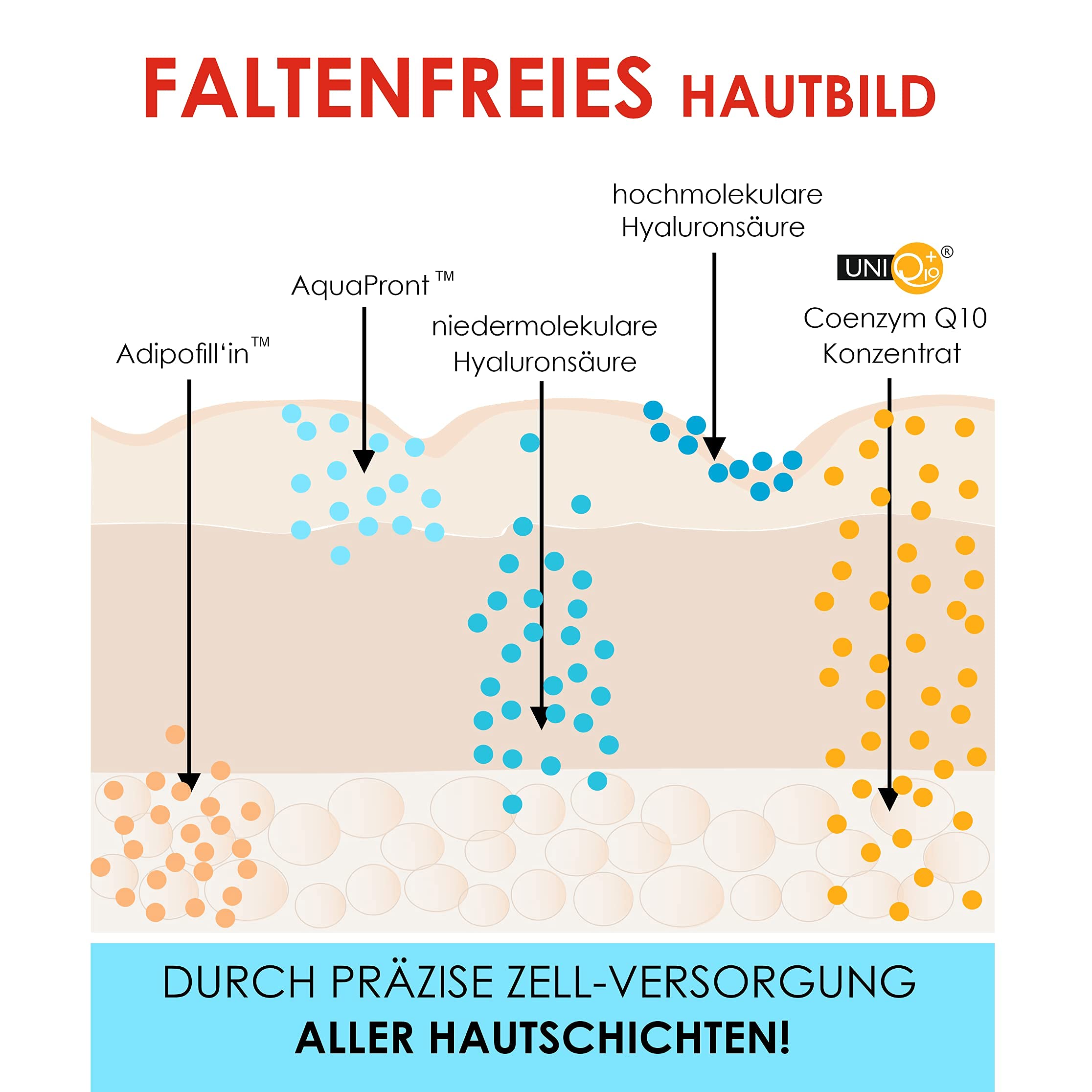Hyaluron Serum hochdosiert mit Q10 - anti aging - anti Falten Gesichtspflege - Hyaluronsäure Faltenfiller - Porenverfeinerer - nachhaltige Kosmetik aus Deutschland - vegan - 100ml