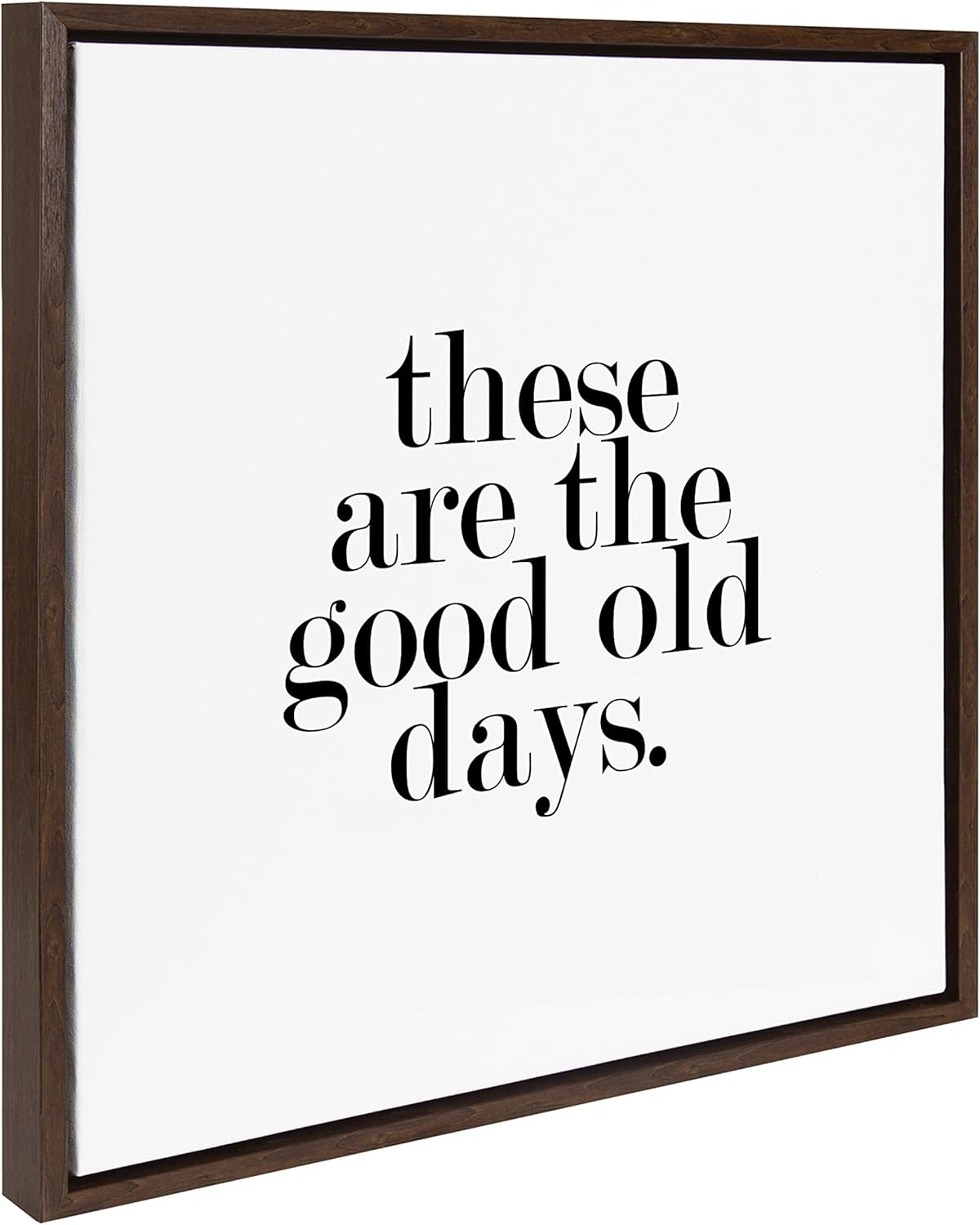 Kate and Laurel Sylvie Good Old Days Framed Canvas Wall Art by Maggie Price of Hunt and Gather Goods; 22x22 Natural; Modern Farmhouse Wall Décor