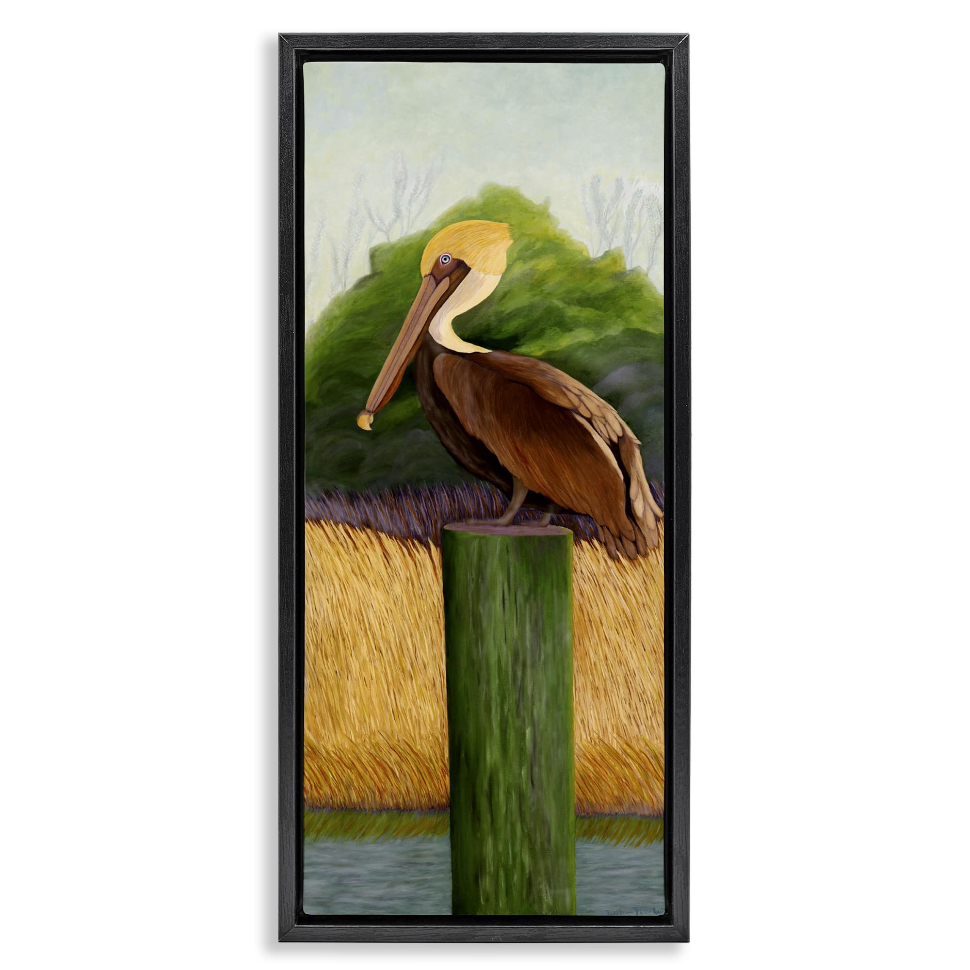 Stupell Industries 'Perched Blue Eyed Pelican', Floating Frame Canvas Art, Black, 15 x 31 Inches, Easy to Hang and Sturdy, Made in USA, by Barbara Fallenbaum