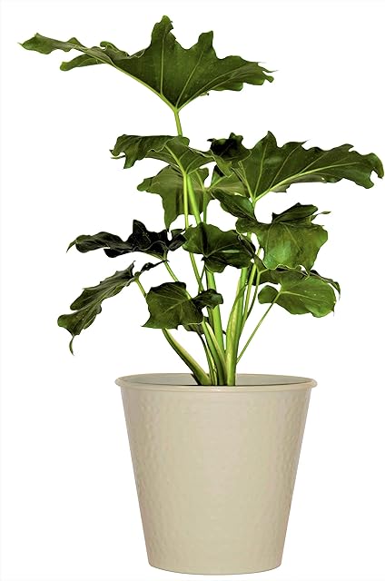 Monarch Abode Hand Hammered Desert Clay Garden Pot Planter, Metal