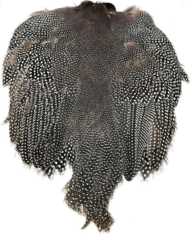 Guinea Fowl Pelt #1 Grade
