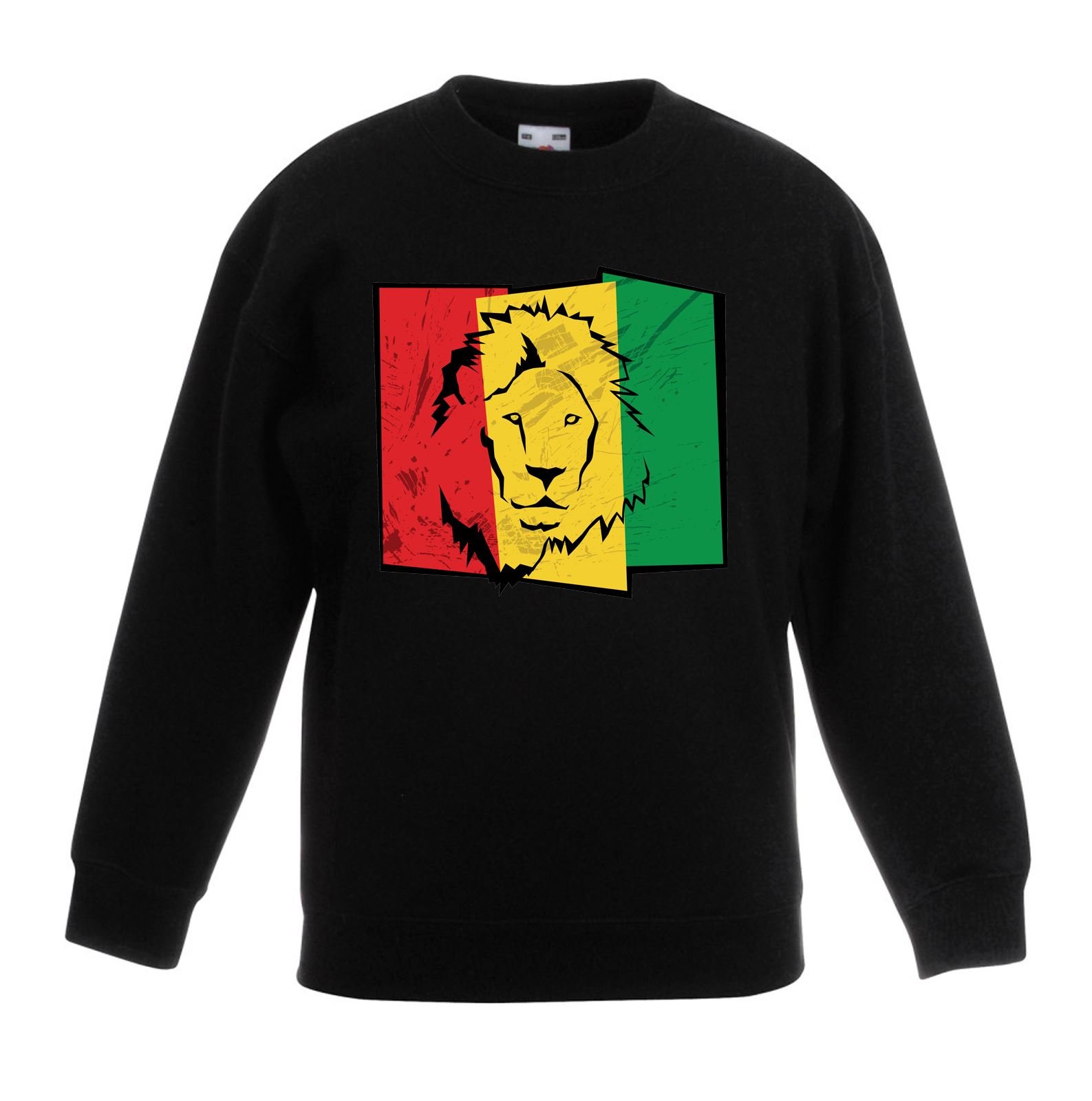 Tribal T-Shirts Boys Lion of Judah Flag Reggae (12-13, Black)