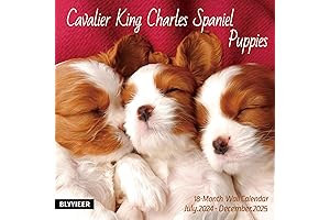 Charles Wysocki 2025 Wall Calendar: A Year of Cavalier King Charles Spaniels