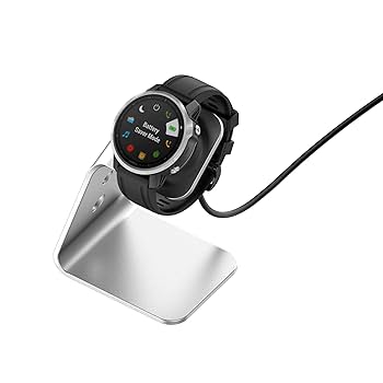 GARMIN - GARMIN VENU 2 PLUS 美品　音声入力、LINE 通知可能 GARMIN VENU 2 PLUS 美品 音声入力、LINE 通知可能