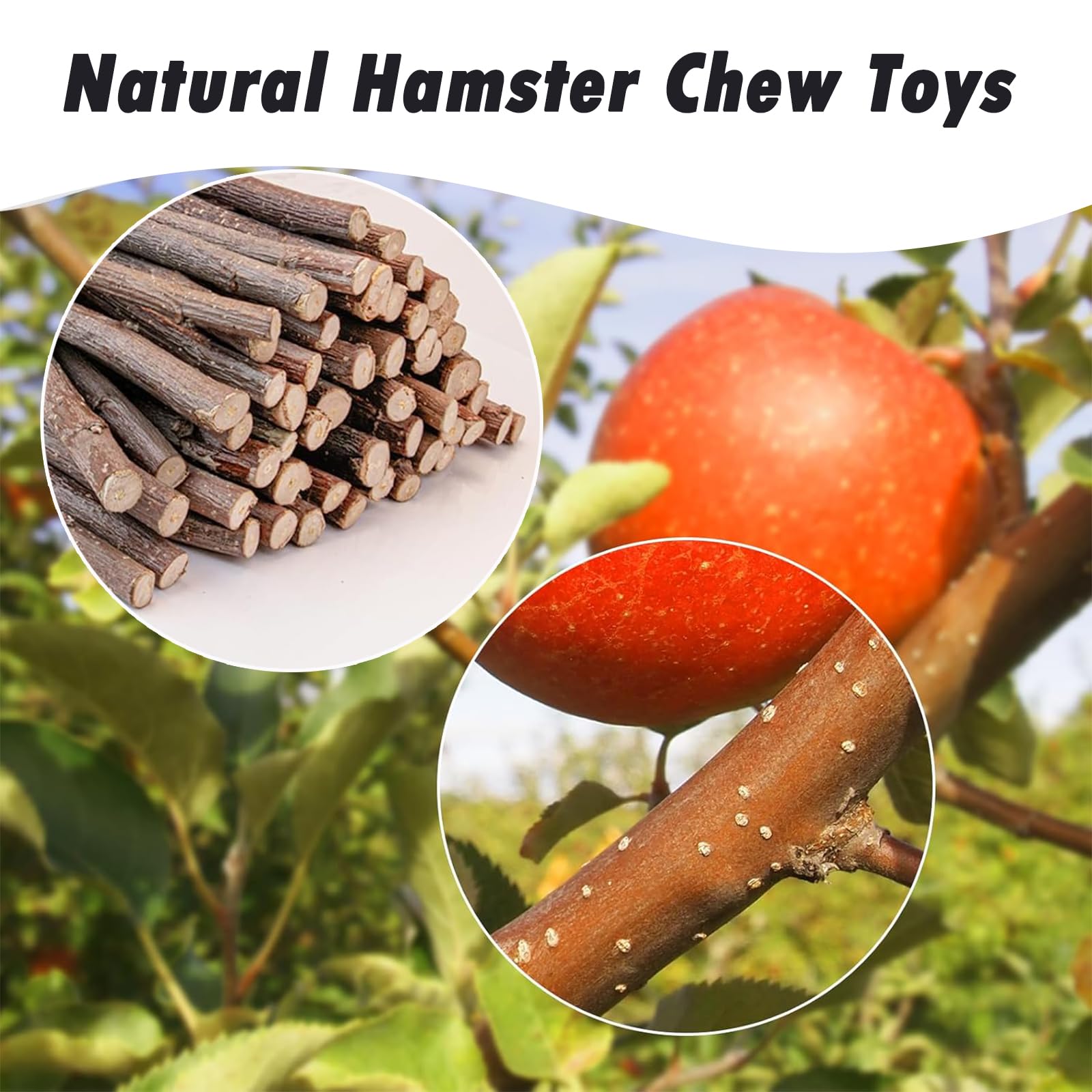 Natural Apple Sticks for Hamsters Guinea Pigs & Rabbits - 200g Molar Chew Toys, black - Image 3