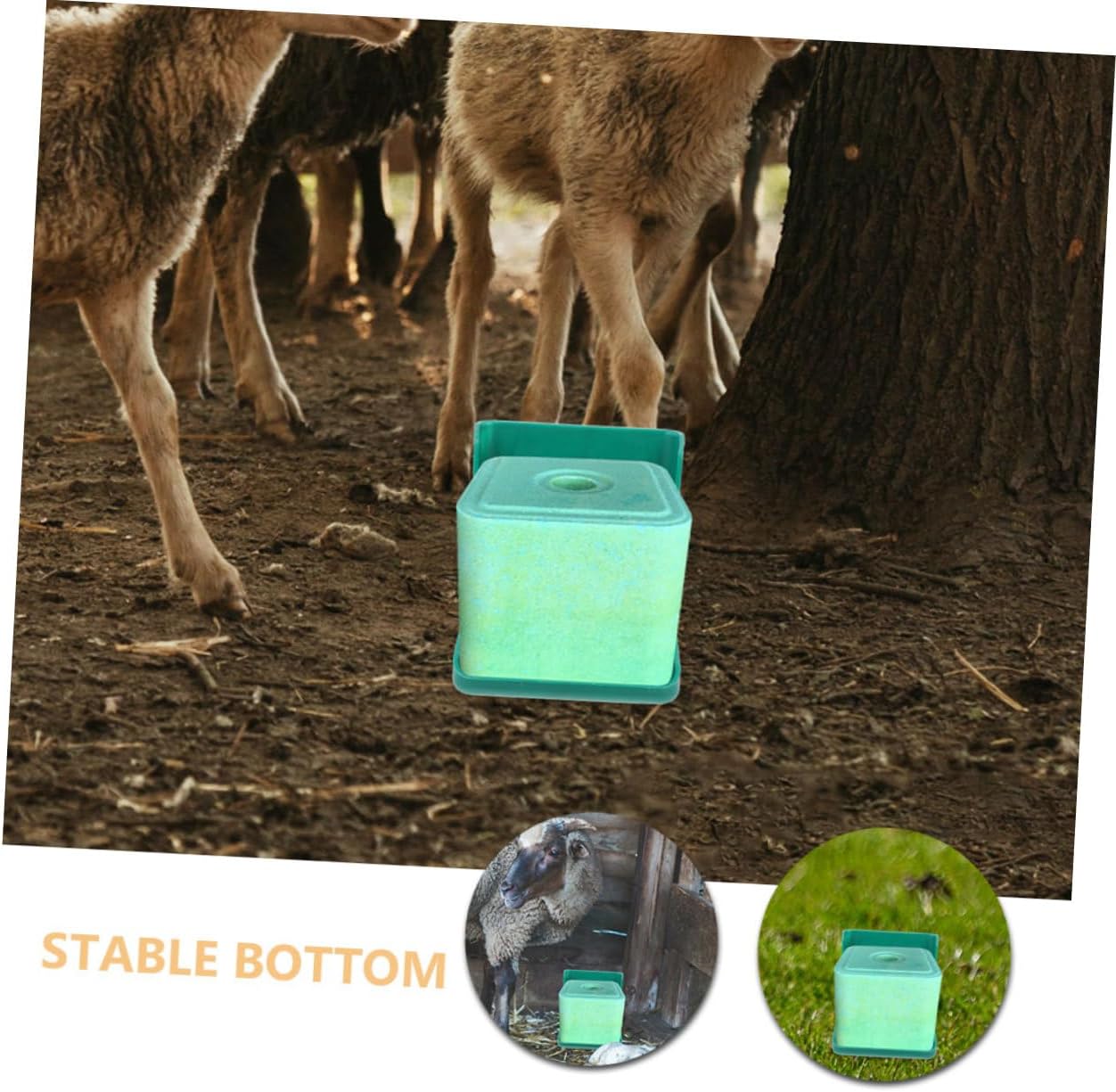 UPKOCH 2pcs Salt Block Holder for Sheep and Cattle Sturdy Farm Salt Feeder Tray Fixed Brick Licking Box for Livestock Feeding