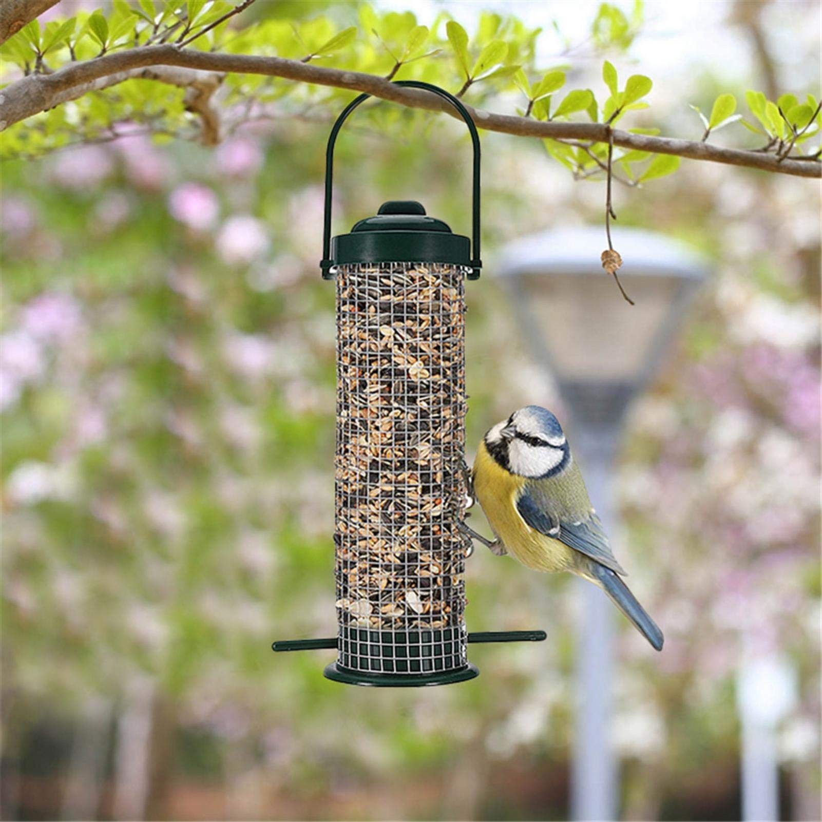 Amazon.co.jp: SURD 野鳥用餌入れ 餌台 吊り下げタイプ 餌やり