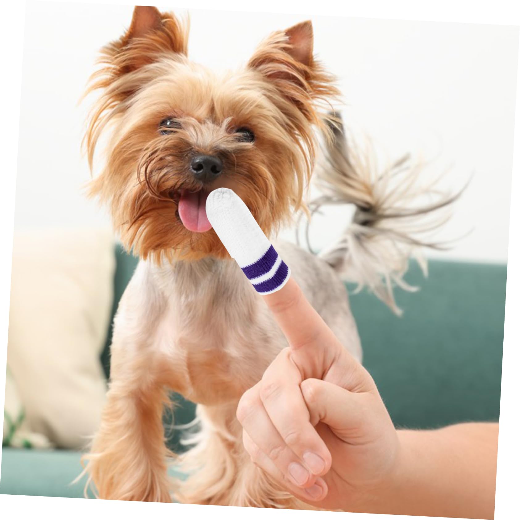 Mipcase Pz Culle per la pulizia degli animali domestici salviette detergenti maniche per le dita spazzolino da denti per dita di cane spazzolino da denti e pasta per gattini cura nylon
