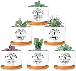 Sieral 6 Pcs Tree of Life Bible Verse Succulent Pots with Drainage 3.15 Inch Mini Christian Planter Accessories with Bamboo Tray for Church Member Teacher Coworker Gardener Gift, Plants Not Included