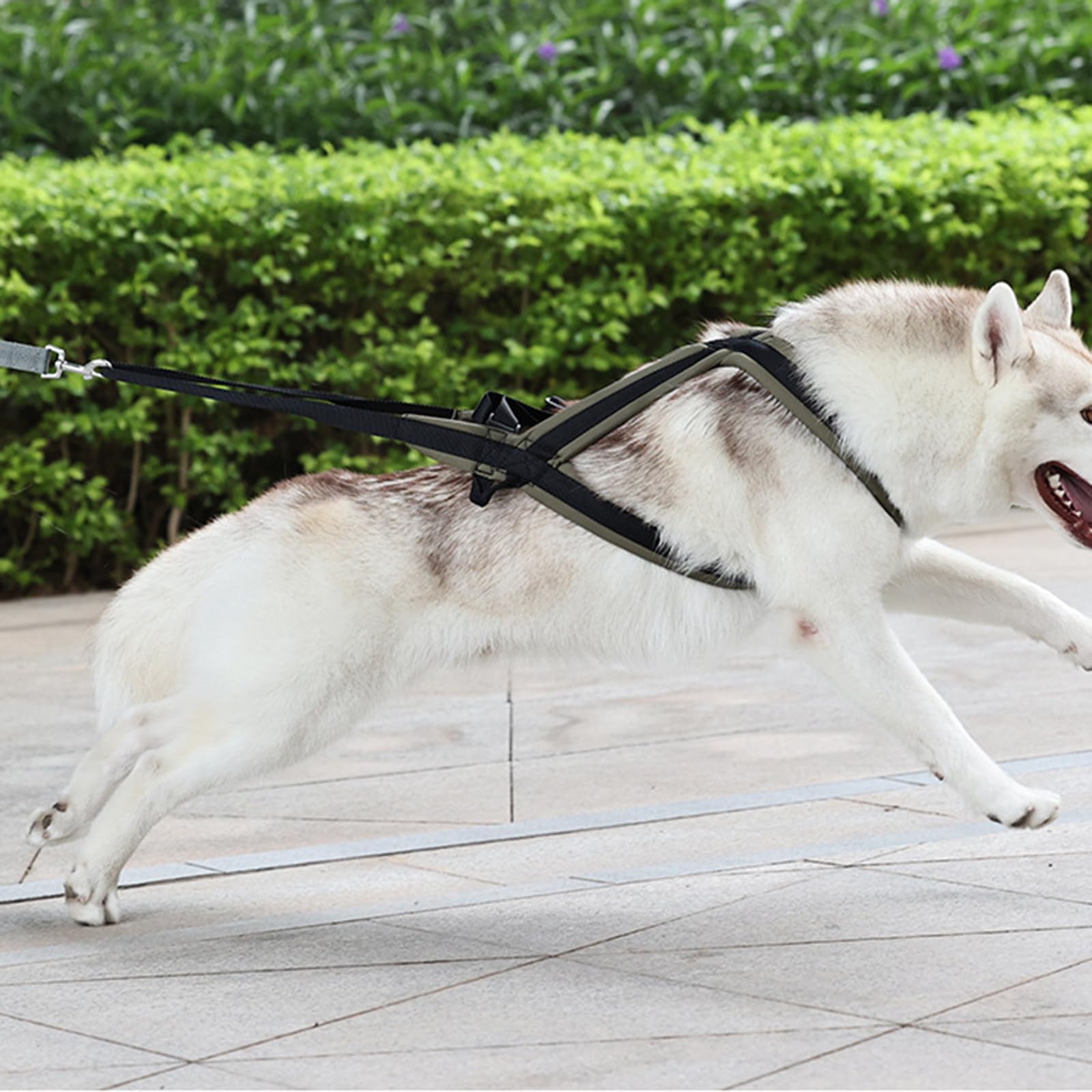 Chalecos reflectantes para perros, chalecos de entrenamiento para perros, equipos para perros y gatos, arneses para paseos nocturnos