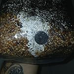 Review Image by Cody McAdam a.k.a. Caribbean Cody