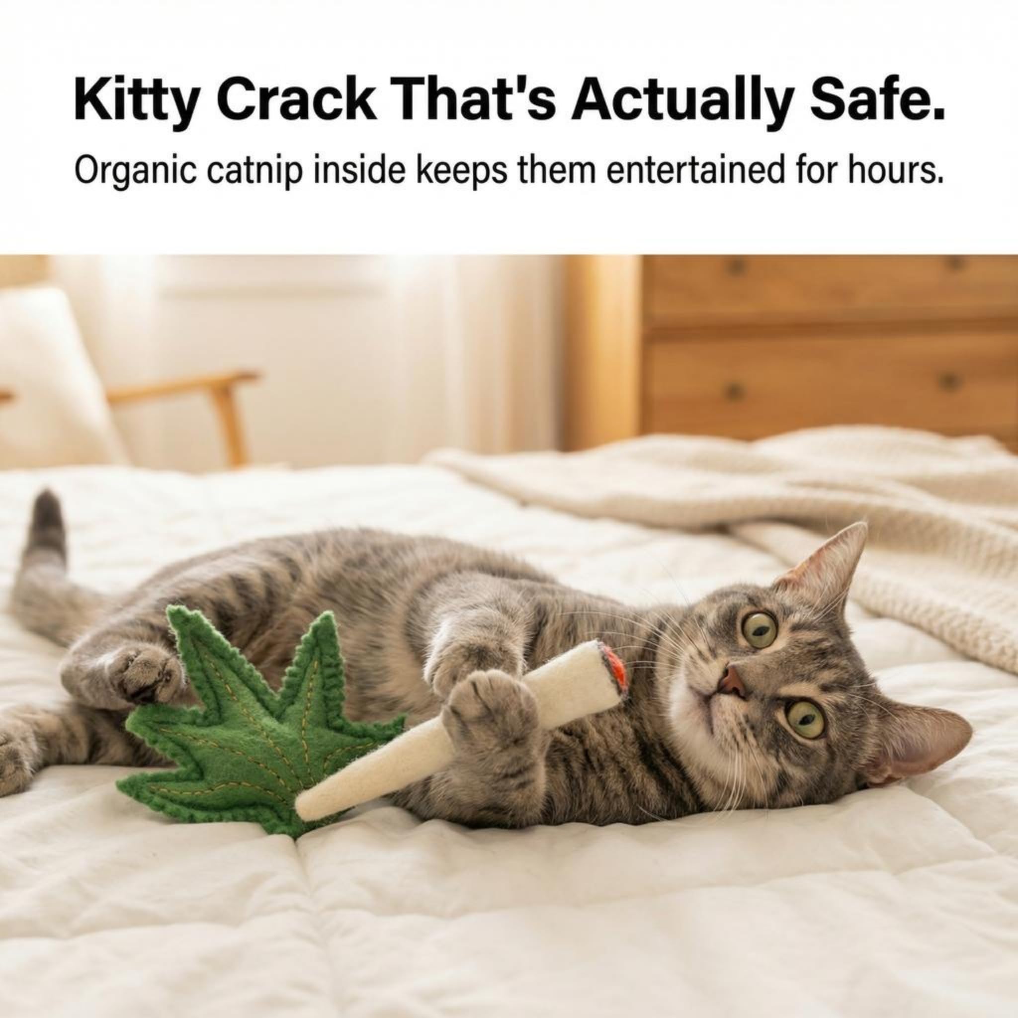 Glaciart One Ensemble de Jouets pour Chat avec Herbe à Chat | Crack pour Chats drôles, Jouets stimulants pour Chat pour l'ennui, l'exercice et Le Jeu | Rempli avec Herbe à Chat Bio pour Exciter