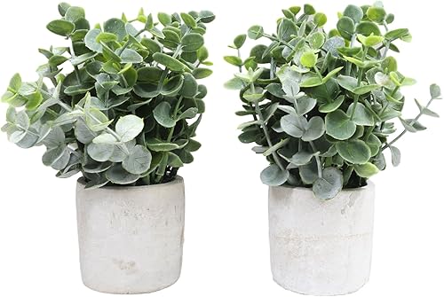 Miniatura 3 de Ebros Gift Juego de 4 plantas artificiales realistas de boj de boj en maceta de hormigón de 7.25 pulgadas de alto, plantas de imitación de helecho