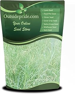 Outsidepride Southwest Native Grass Seed Mix - 5 lbs. Perennial Warm & C...
