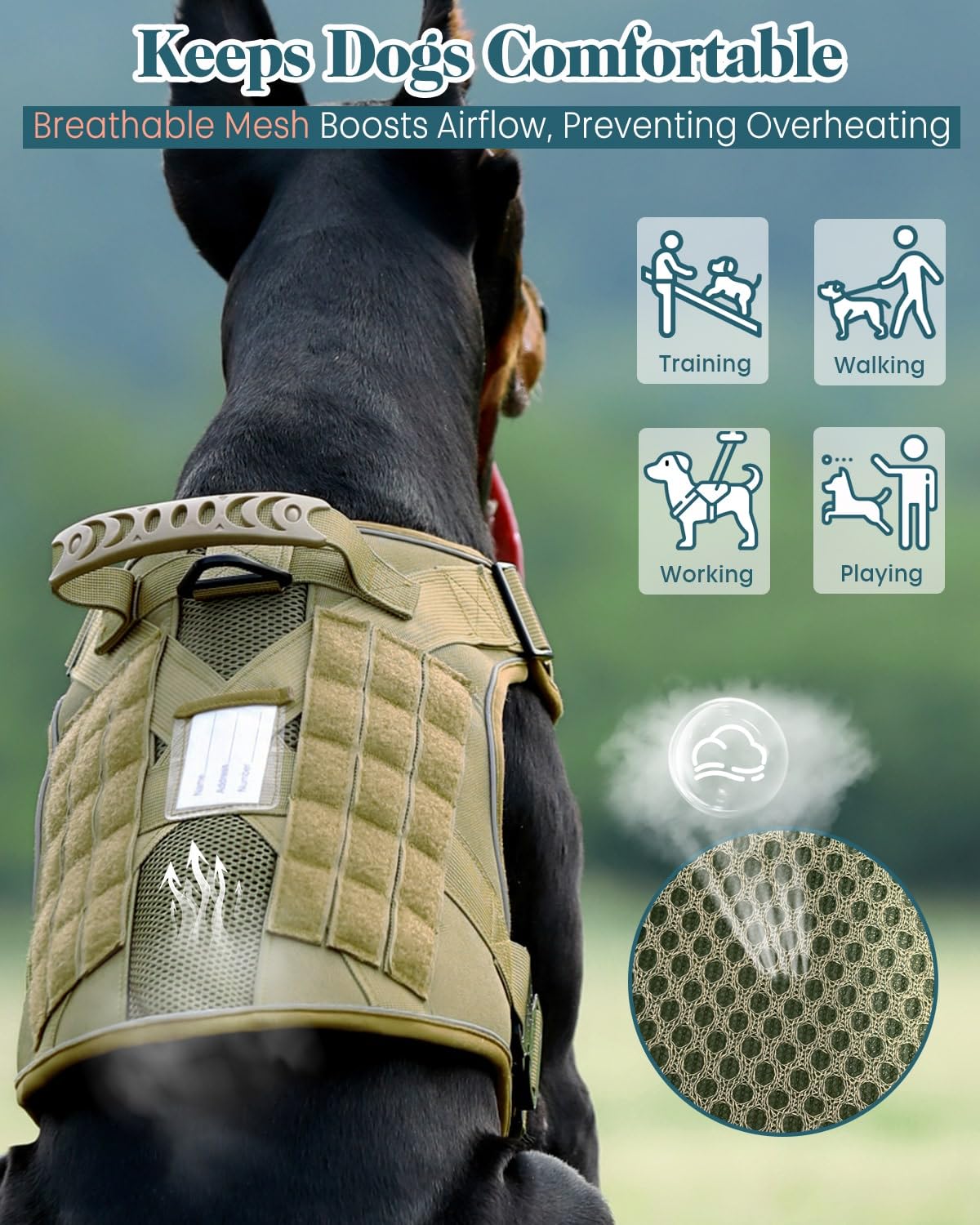 Taktisches Hundegeschirr, strapazierfähig, Netzgewebe, atmungsaktiv, kein Ziehen, Kontrollgriff, Klettverschluss, Molle-Panel mit 6 abnehmbaren Ptaches für Spaziergänge, Training, Wandern