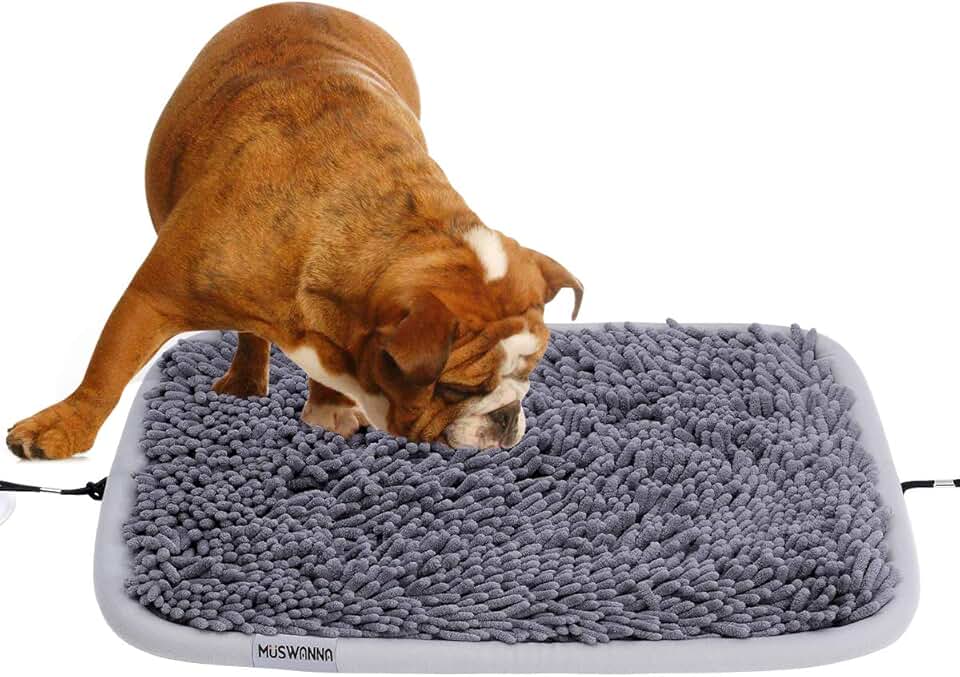 Amazon.ca snuffle mat