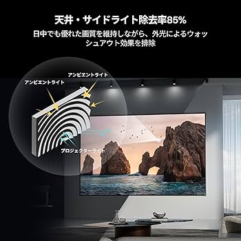 Amazon.co.jp: Valerion 120インチ フレネル ALR プロジェクター