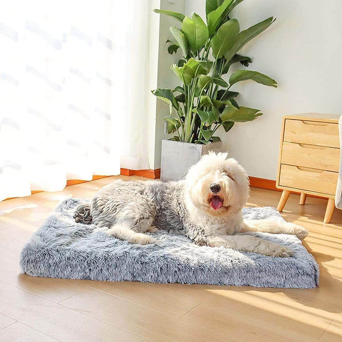 Yuly Matelas Orthopédique en Mousse à Mémoire de Forme pour Chien Dehoussable, Surface Douce et Chaude,Comfy Tapis Chien Grande Taille Lavable Apaisant,Tapis en Peluche ​pour Animaux De Compagnie