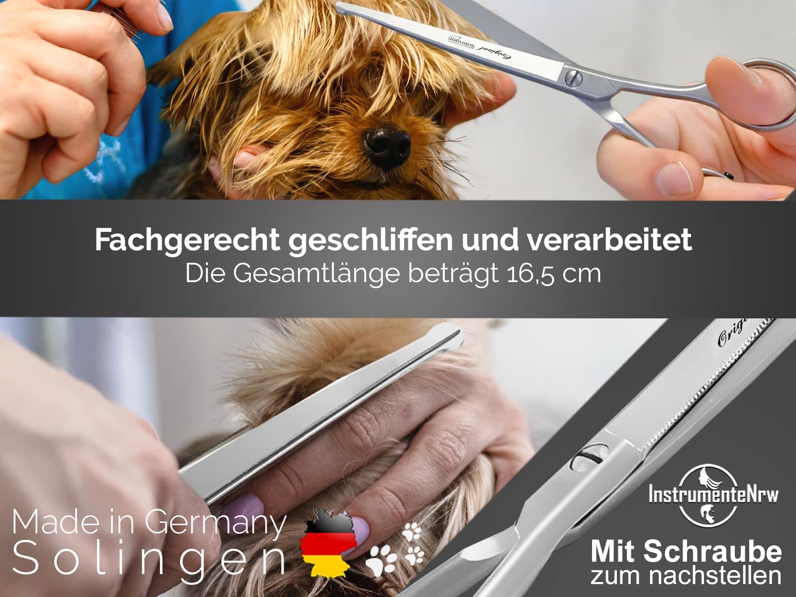 Hundeschere Set Profi Aus Edelstahl Für Hunde, Katzen