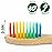 NUDUKO Biodegradable Toothbrush 10 Pack Bamboo Toothbrushes - Eco-Friendly, Natural Wooden Tooth Brush, BPA Free Organic Soft Bristle Toothbrush,Soft Toothbrushes for Adults (Multicolored Bristles)