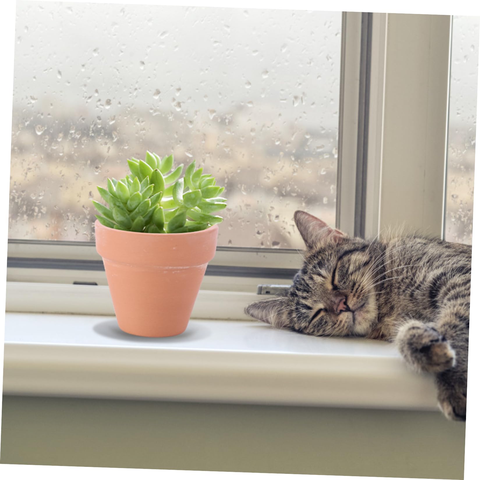 VANZACK Vasi Piccoli Fori di Drenaggio in Terracotta Rossa 10 Pezzi per Piante Succulente e Cactus per Decorazioni Casa e Bomboniere Shower