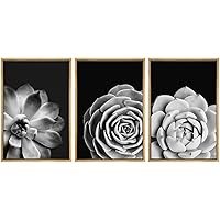 SIGNWIN Framed Canvas Print Wall Art Trio of Lily Pad Desert Succulents Floral Plants Photography Modern Art Minimalist Closeup Black and White for Living Room, Bedroom, Office - 16