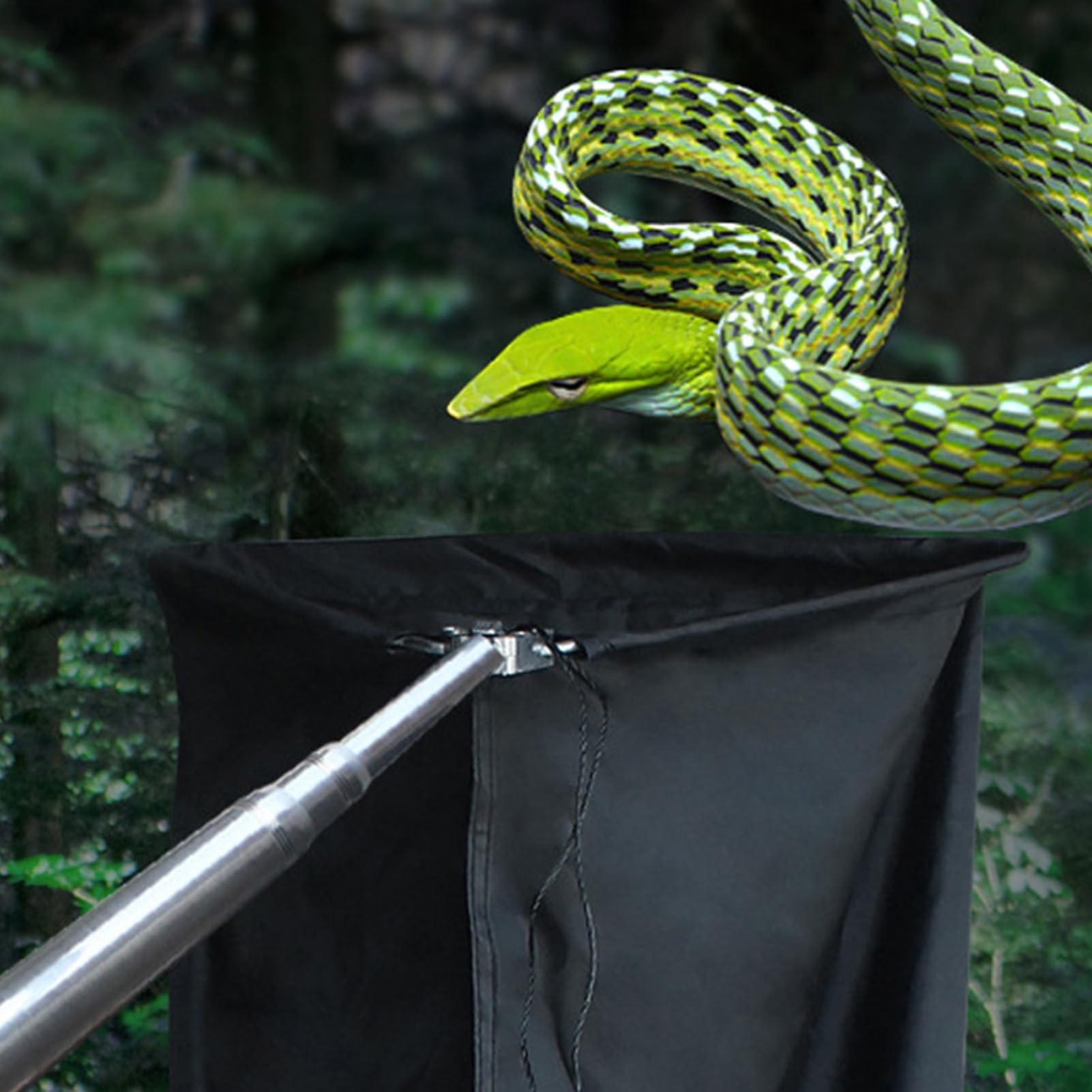 Catcher Snake Catcher, Gancio Senza Slittamento di, Sicuro Grip Serpent Stick | Pole rettili Lunghezza Regolabile, Strumento di Presa Trappola Pesante per Una maneggevolezza sicura, resc | Stick | Pole rettili Lunghezza Regolabile, Strumento di Presa Trap
