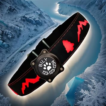 Personalized Light up Dog Collars Rechargeable with Waterproof airtag Holder for Black Dog Night Walking Black Collar 15 Modes Lighting, S7.87-11.8"