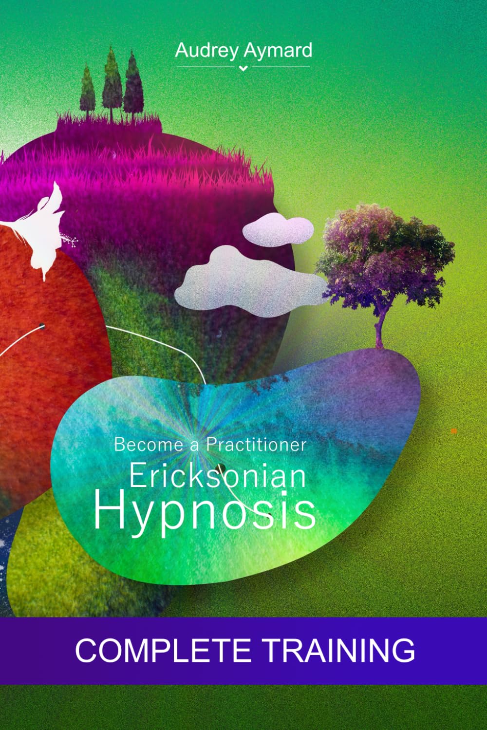 Ericksonian Hypnosis - Become a Practitioner: Complete Training