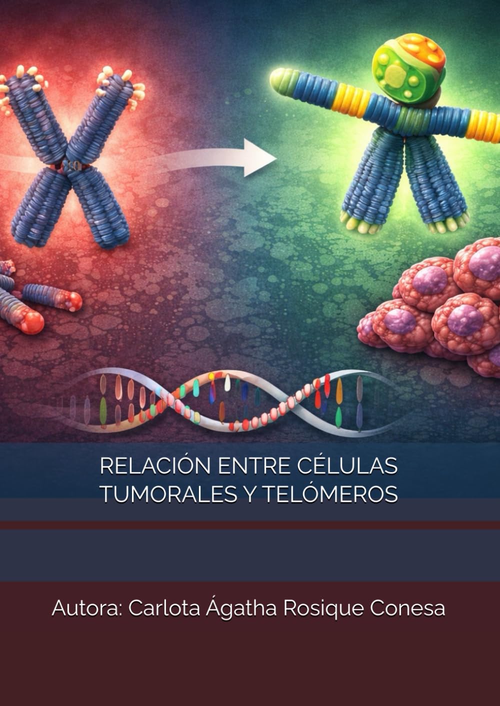 RELACIÓN ENTRE CÉLULAS TUMORALES Y TELÓMEROS