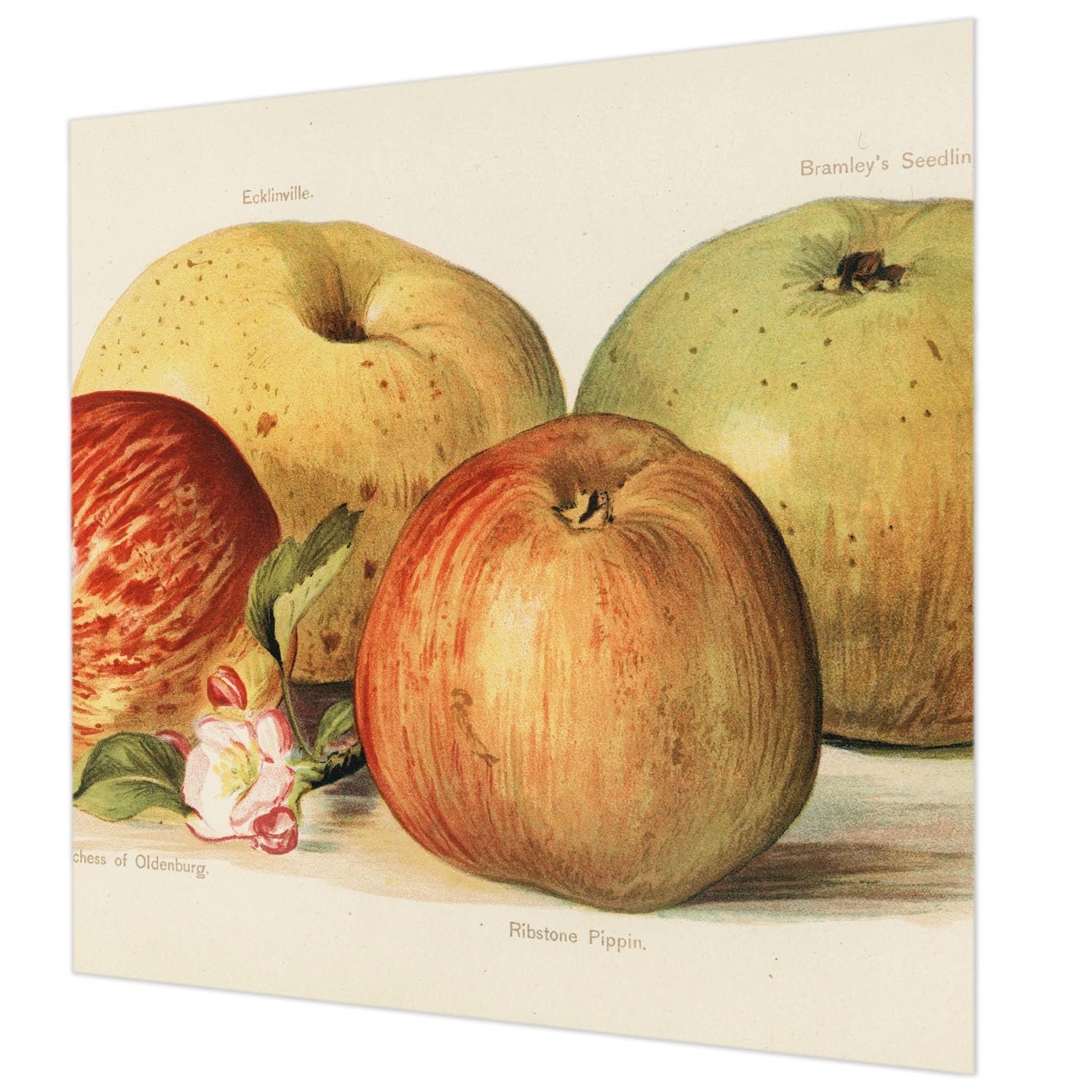Papier peint haut de gamme fleurs de pommier Tulup décoration salon
