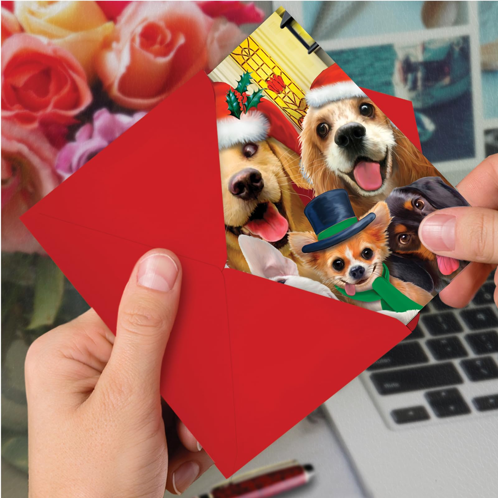 Feliz Navidad a Zoo Navidad humor Tarjeta, color 12 Christmas Card Pack (SKU:B6652GXSG) 12 Christmas Card Pack (SKU:B6652GXSG)