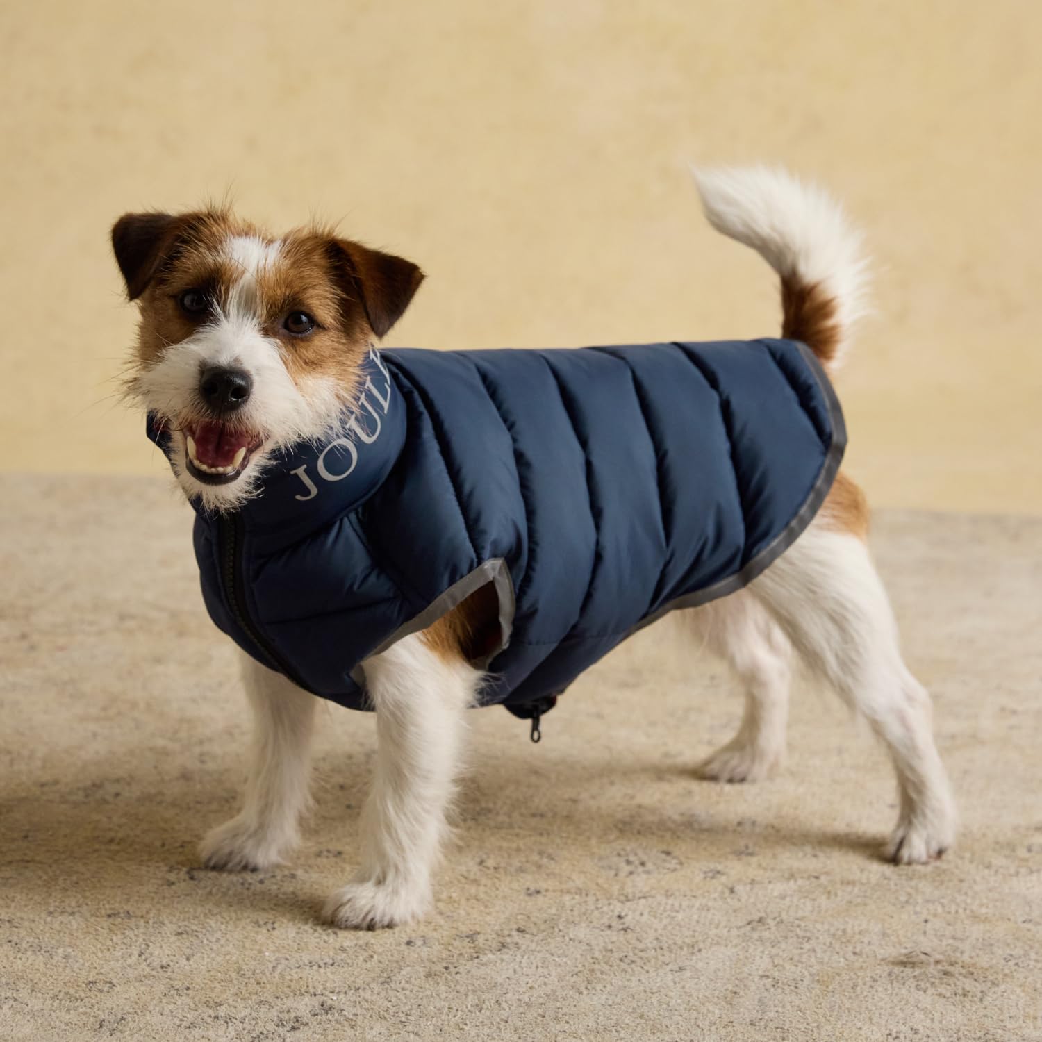 Manteau bouffant pour chien zippé Rosewood : protège du froid et de la pluie les tailles moyennes