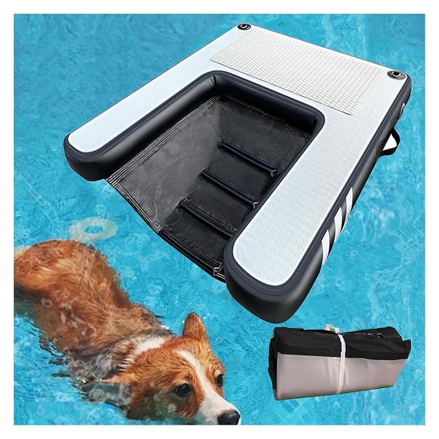 rampa de agua para perros Rampa plegable para piscina para perros, pequeña