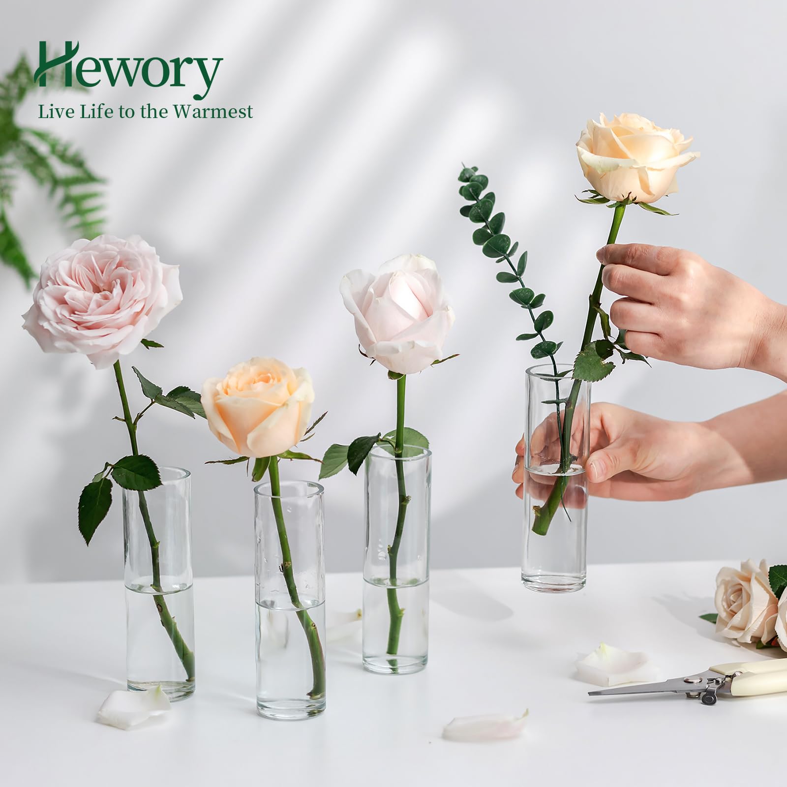Hewory 24 piccoli vasi per decorazione da tavolo per matrimoni: set di piccoli vasi di vetro per decorazioni di nozze – 15 cm vaso di vetro cilindro piccolo vaso per fiori per feste nuziali baby