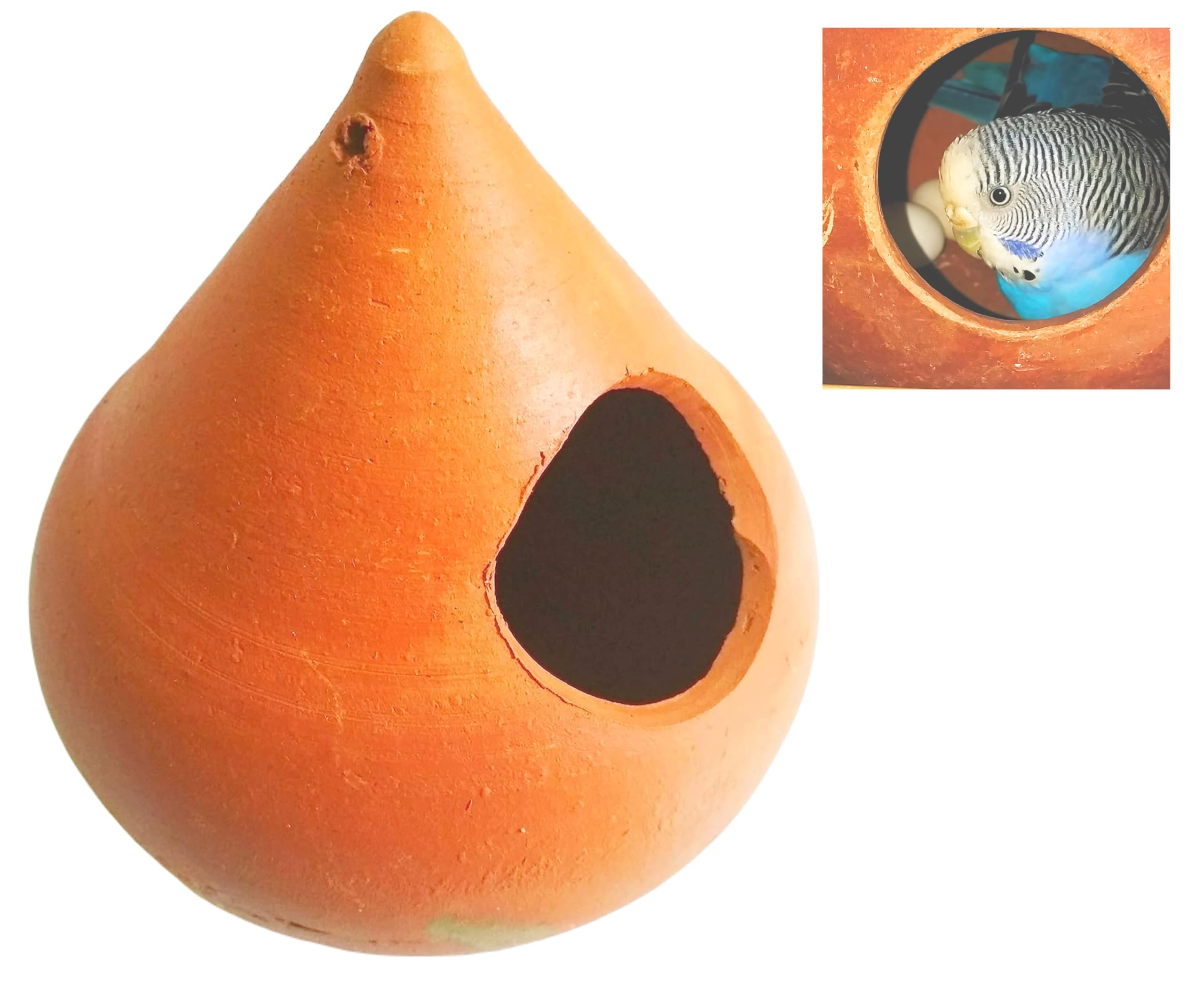 ZENRISE® Terracotta Cone Bird House for Finches, Budgies and Sparrow Birds (Indian Clay, Brown, 14 cm) (B07W1ZWJKR) Amazon Price History, Amazon Price Tracker