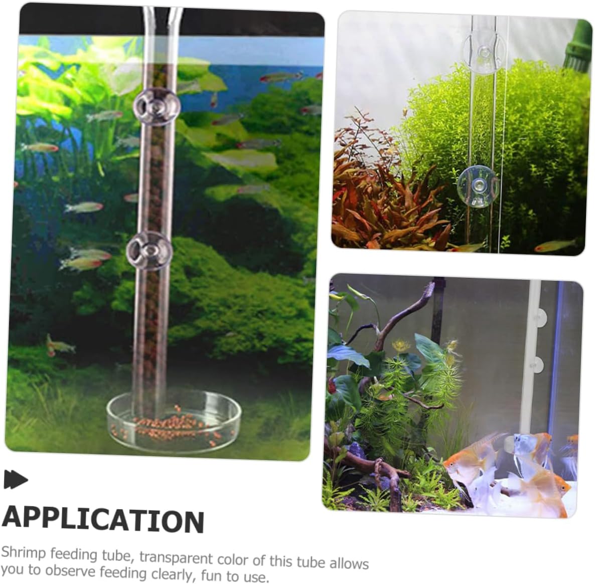 PRETYZOOM 2sets Shrimp Feeder Tray Fish Tank for Easy Observation Cup Installation for Aquarium Shrimp and Fish Food Dispensing
