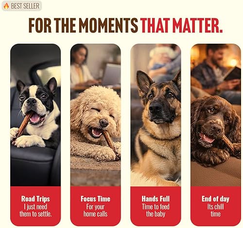 Miniatura 3 de Natural Farm Bully Sticks Jumbo sin olor (12 pulgadas, paquete de 5), masticables extra gruesos para perros, golosinas de carne 100% totalmente